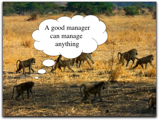 Baboon-Managers-2
